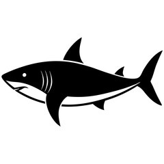 shark silhouette vector illustrator