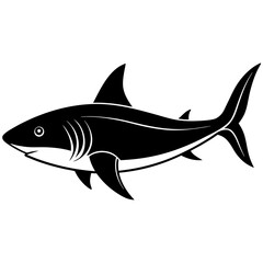 shark silhouette vector illustrator