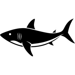 shark silhouette vector illustrator