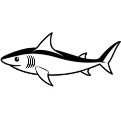 shark line art vector