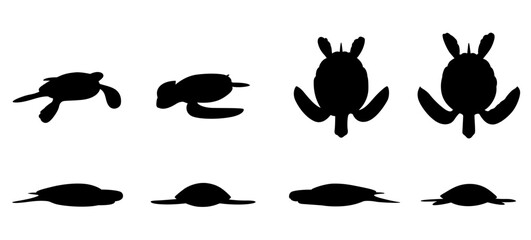 Naklejka premium A collection of full-length standing photos of wild turtles vector set