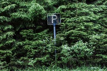 Parking place sign standing among lush vegetation in a Swedish forest, guiding visitors to a designated area