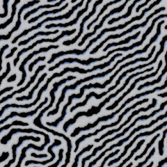 Fototapeta premium Exploring the intricate pattern of a space-filling curve in black and white geometry