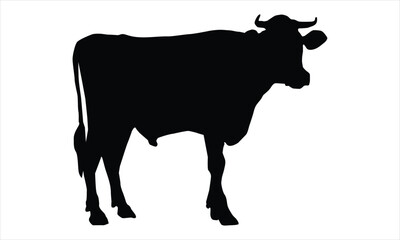 silhouette of a cow