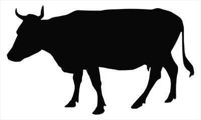 silhouette of a cow