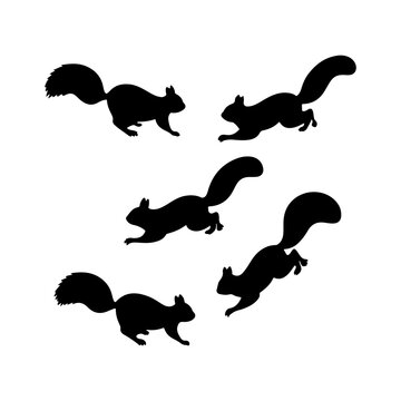 Group of running squirrel silhouette icon vector flat illustration design.
