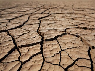 Cracked Dry Earth  Drought  Arid Land  Soil Texture