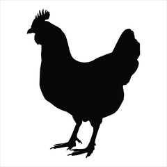 hen silhouette vector