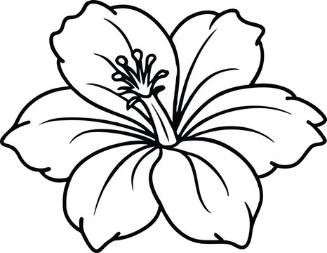 recommend clip art: outline style hibiscus flower illustration