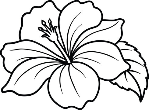 recommend clip art: outline style hibiscus flower illustration