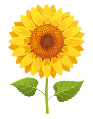Naklejka premium isolated sunflower illustration