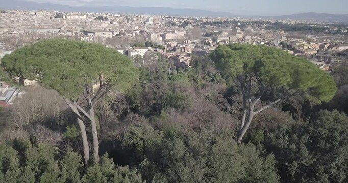 Roma Coliseu It&aacute;lia Hist&oacute;ria Arquitetura Antiguidade Arte Piazza Europa Arquitetura Turismo Monumentos Cultura Patrim&ocirc;nio Mundial Imp&eacute;rio Romano Ru&iacute;nas F&oacute;rum Romano Arcos Estradas Museus 