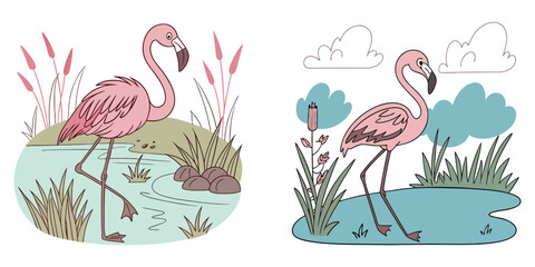 Minimalistic Flamingo Illustration Unique Style