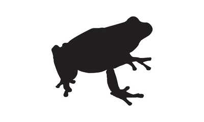 silhouette of a frog