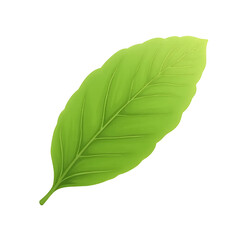 Fototapeta premium Green Leaf Isolated, Single Leaf, Plant Leaf, Nature Leaf