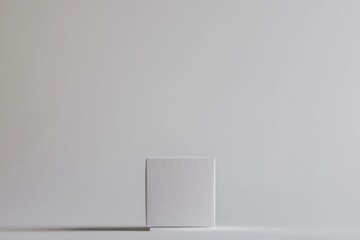 Minimalist interior design showcase featuring a textured white cube on a plain backdrop