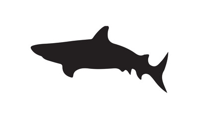 silhouette of shark