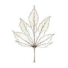 Detailed Leaf Drawing, Botanical Art, Sepia Tone