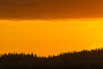 Beautiful sunset in the forest of Sweden with vibrant colors lighting up the sky above tall trees