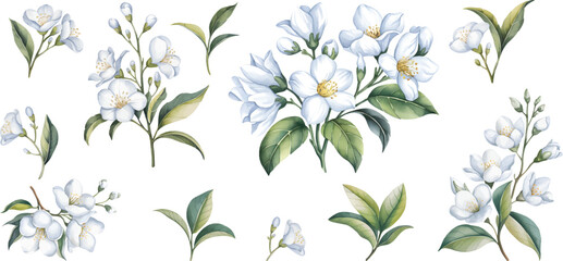 Fototapeta premium Watercolor blue floral hand drawn floral illustration isolated on white background.