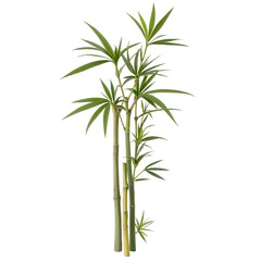 Green Bamboo Plants on White Background, Minimalist Style
