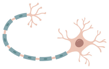 Vector Illustration of neuron cell