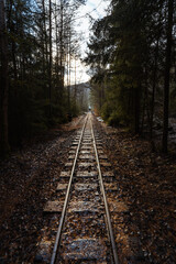 Fototapeta premium Moody image of old railway in the middle of forest