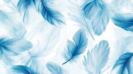 Beautiful white baby blue colors pastel tone feather