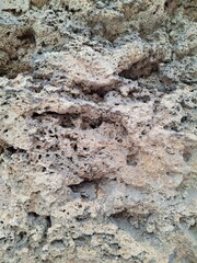Porous limestone close-up, vertical background 
