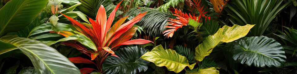 Fototapeta premium Tropical Foliage with Cordyline and Monstera Plants