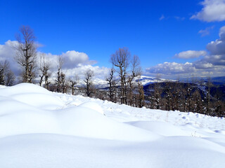 Winter snow mountain cabin panorama. Winter mountain snow forest tree. landscape mountain snow. Winter and cold Winter forest in Algeria, Jijel North Africa, snow covered trees and cold weather. Arabs