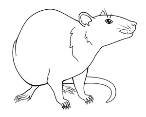 A smiling rat is a symbol of 2020. Chinese New Year of the Rat. Rat - linear vector image for coloring. outline	
