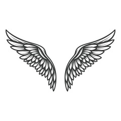 Monochrome illustration of symmetrical angel wings, detailed black and white feathered design, vector art for spiritual and decorative themes  
