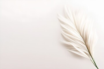 Obraz premium Elegant white pampas grass branch placed on a soft neutral background, creating a minimalistic and serene aesthetic with a focus on texture and natural beauty