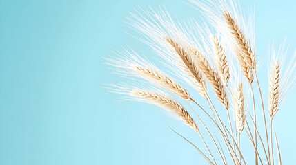 Golden wheat stalks against a light blue background, ideal for food, agriculture, or harvest themes