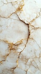 Naklejka premium Graceful natural arch with a thin, elegant curve formed from pale sandstone, showcasing the intricate shapes sculpted by erosion over time.
