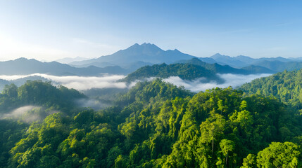 Fototapeta premium Majestic mountain sunrise over lush rainforest, misty valley, aerial view; ideal for travel brochures