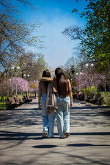 Obraz premium Walking in the park together