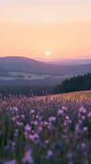 Fototapeta premium A serene sunset over rolling hills, with a field of purple flowers in the foreground, creating a tranquil and picturesque landscape.