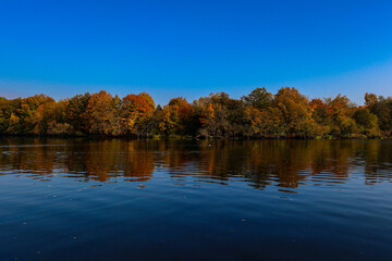 Autumn forest on the river bank