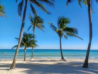Playa del Car beach view