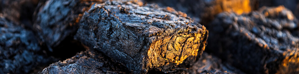 Charred Wood Pile Close-up