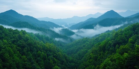 Obraz premium Mindful living with wellness and consciousness concept. Lush green mountains shrouded in misty clouds at dawn.