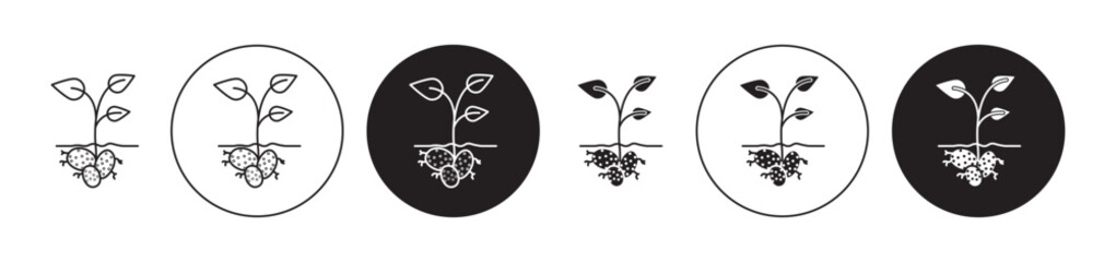 Potatoes plant icons set in black filled and stroke line style