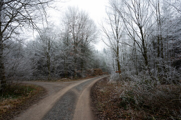 road in winter