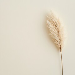 Neutral Toned Pampas Grass Minimalist Textured Decor for Mental Health and Wellness Spaces - Enhancing Modern Interiors with Calm and Resilient Aesthetics