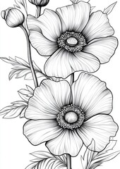 Botanical Flowers Coloring Page
