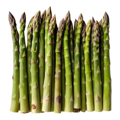 Whole asparagus stalks neatly arranged together.