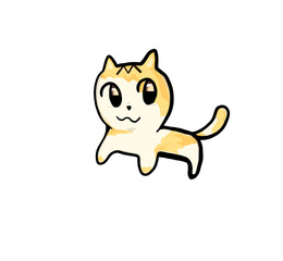 Orange cat