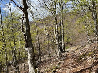 Fototapeta premium Premuzic hiking trail or Premuzic Trail - Velebit Nature Park, Croatia or Premuzic-Wanderweg or Premuzic's Trail (Pješački planinarski put Premužićeva staza - Park prirode Velebit, Hrvatska)